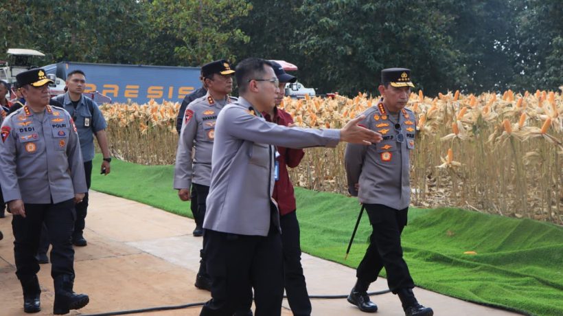 Polri Bersama Petani Jagung Tuban Bersiap Sambut Kehadiran Presiden RI pada Panen Raya