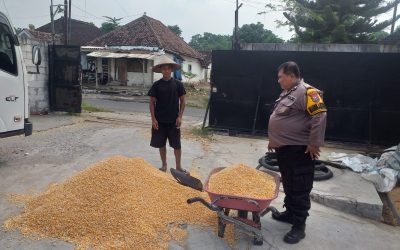Polsek Kejayan Kawal Pengiriman Hasil Panen Jagung ke Bulog untuk Dukung Ketahanan Pangan Nasional