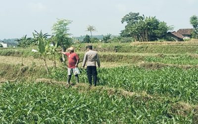 Bhabinkamtibmas Polsek Sukorejo Dampingi Petani Optimalkan Lahan Produktif