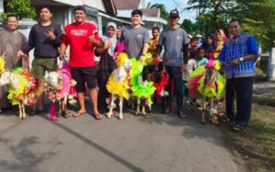 Unik Banget! Di Lumajang, Kambing Kurban Dirias Cantik dan Diarak Keliling Kampung ala Karnaval