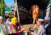 Tak Muat di Masjid, Sapi Raksasa 1,2 Ton Milik Presiden Prabowo Terpaksa Dieksekusi ke RPH Lumajang