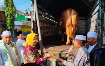 Tak Muat di Masjid, Sapi Raksasa 1,2 Ton Milik Presiden Prabowo Terpaksa Dieksekusi ke RPH Lumajang