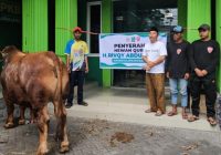 Idul Adha Penuh Berkah, Gus Rivqy Salurkan Puluhan Sapi Qurban ke Jember-Lumajang, Ada yang Berbobot 1 Ton!