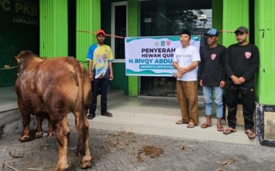 Idul Adha Penuh Berkah, Gus Rivqy Salurkan Puluhan Sapi Qurban ke Jember-Lumajang, Ada yang Berbobot 1 Ton!