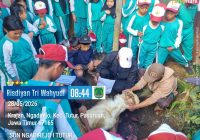 Tanamkan Karakter Berbagi, SDN Ngadirejo I Tutur Pasuruan Sembelih Dua Ekor Kambing di Momen Idul Adha