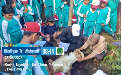 Tanamkan Karakter Berbagi, SDN Ngadirejo I Tutur Pasuruan Sembelih Dua Ekor Kambing di Momen Idul Adha