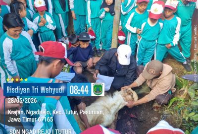 Tanamkan Karakter Berbagi, SDN Ngadirejo I Tutur Pasuruan Sembelih Dua Ekor Kambing di Momen Idul Adha