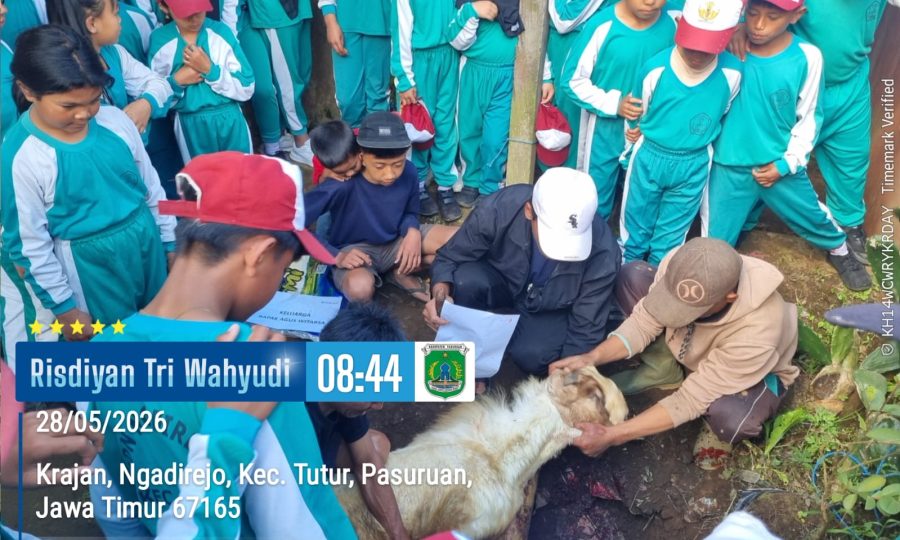 Tanamkan Karakter Berbagi, SDN Ngadirejo I Tutur Pasuruan Sembelih Dua Ekor Kambing di Momen Idul Adha