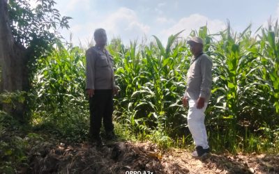 Polisi Turun ke Sawah, Pantau Tanaman Hortikultura demi Ketahanan Pangan Nasional