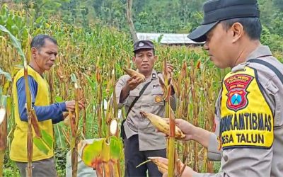 Polres Ponorogo Sahabat Petani, Dampingi Warga Wujudkan Swasembada Pangan