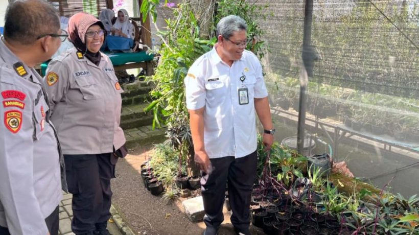 Dukung Program Ketahanan Pangan Presiden, Polres Pasuruan Bersama SMKN 1 Purwosari Kembangkan Budidaya Uwi Ungu