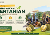 Dongkrak Ekonomi Desa, Pemkab Lumajang Dorong Pengembangan Durian Bawor