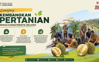 Dongkrak Ekonomi Desa, Pemkab Lumajang Dorong Pengembangan Durian Bawor