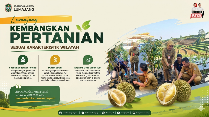 Dongkrak Ekonomi Desa, Pemkab Lumajang Dorong Pengembangan Durian Bawor