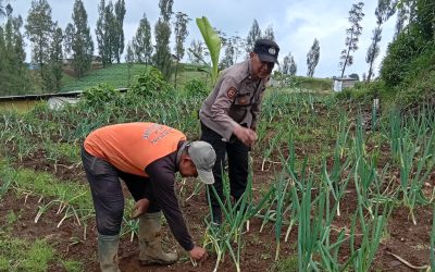 Polisi Turun ke Kebun Bawang Prei, Dorong Warga Aktif Bertanam untuk Ketahanan Pangan