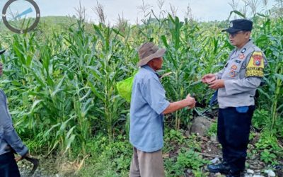 Pantau Lahan Jagung Petani, Polres Pasuruan Kawal Sukses Swasembada Pangan