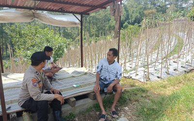 Bhabinkamtibmas Desa Gendro Tinjau Tanaman Cabai dalam Program Pekarangan Pangan Bergizi