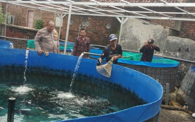 Babinkamtibmas Polsek Bangil Dampingi Warga Tambakan Kembangkan Budidaya Lele di Pekarangan