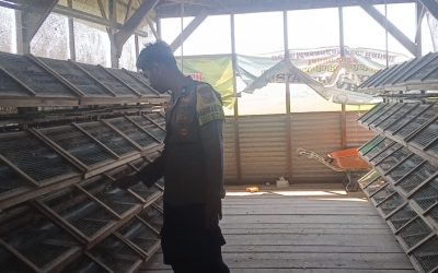 Bhabinkamtibmas Masangan Monitoring Peternakan Puyuh Produktif Milik Bumdes