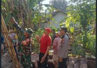 Sinergi TNI-Polri dan Warga Randuagung Gotong Royong Bedah Rumah Sunarwi