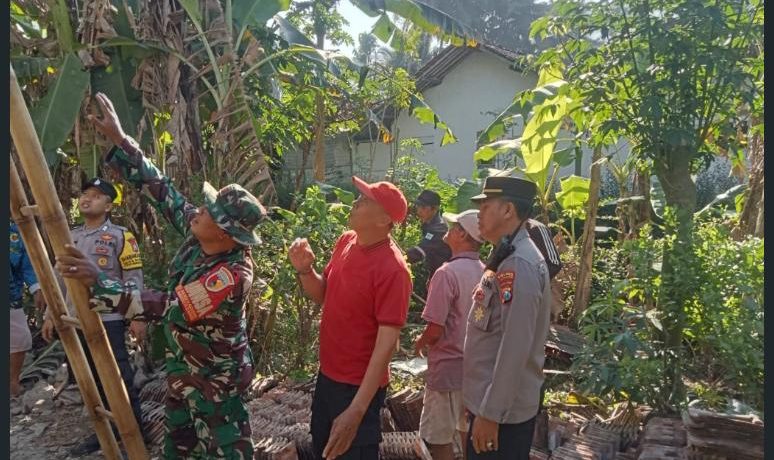 Sinergi TNI-Polri dan Warga Randuagung Gotong Royong Bedah Rumah Sunarwi