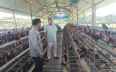 Bhabinkamtibmas Polsek Rembang Laksanakan Pemantauan Peternakan Ayam Petelur Dukung Ketahanan Pangan Nasional
