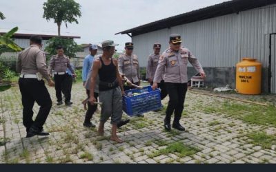 Dukung Swasembada Pangan, Polres Pelabuhan Tanjung Perak Gelar Panen Raya Terong Tumpang Sari