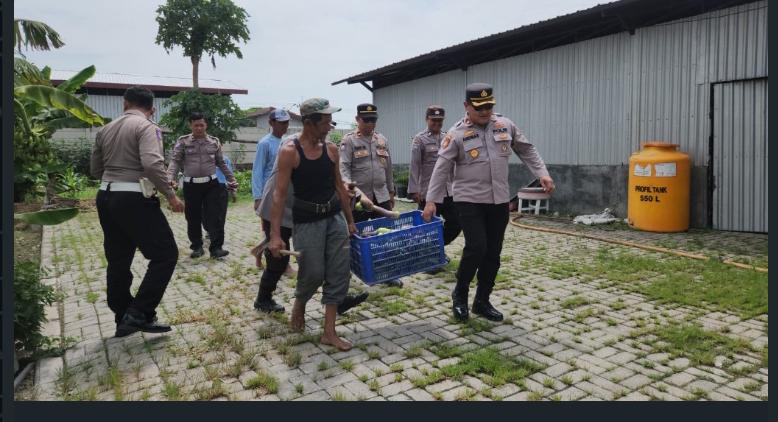 Dukung Swasembada Pangan, Polres Pelabuhan Tanjung Perak Gelar Panen Raya Terong Tumpang Sari