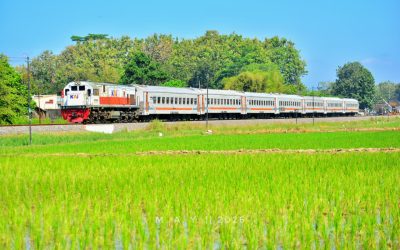 Semester I 2026: Penumpang KAI Daop 9 Jember Tembus 3,5 Juta, KA Probowangi Jadi Favorit