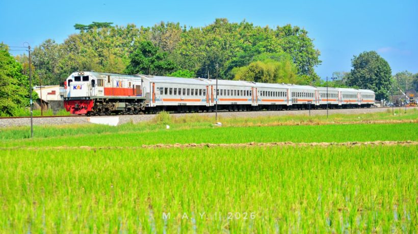 Semester I 2026: Penumpang KAI Daop 9 Jember Tembus 3,5 Juta, KA Probowangi Jadi Favorit