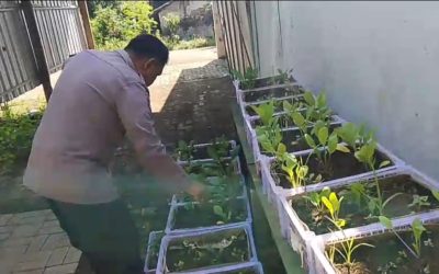 Gugus Tugas Polsek Rembang Pantau Lahan P2L, Wujudkan Ketahanan Pangan Melalui Implementasi Asta Cita Presiden RI
