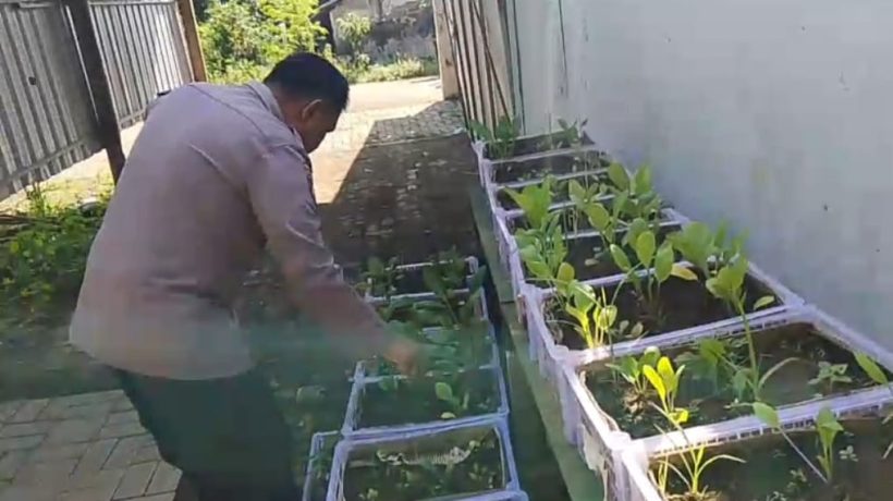 Gugus Tugas Polsek Rembang Pantau Lahan P2L, Wujudkan Ketahanan Pangan Melalui Implementasi Asta Cita Presiden RI