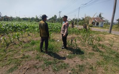 Bhabinkamtibmas Polsek Sukorejo Dorong Pemanfaatan Lahan Produktif untuk Dukung Ketahanan Pangan Nasional