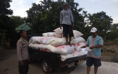 Polisi Dampingi Petani Bantu Distribusi 2,8 Ton Jagung Petani Rebono ke Bulog