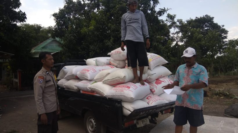 Polisi Dampingi Petani Bantu Distribusi 2,8 Ton Jagung Petani Rebono ke Bulog