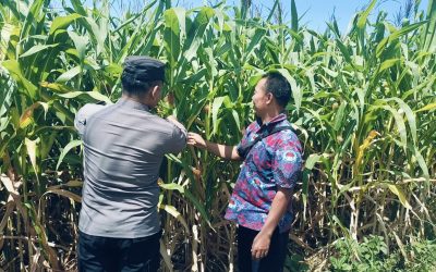 Bhabinkamtibmas Polsek Sukorejo Dorong Petani Optimalkan Lahan Produktif
