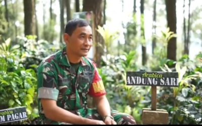 Sinergi TNI dan Petani Sulap Potensi Kopi Lereng Semeru Jadi Produk Premium Berdaya Saing Tinggi