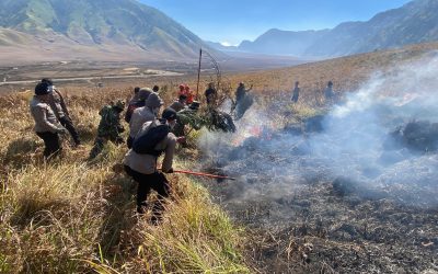 Polres Probolinggo Terjunkan Personel Bantu Padamkan Kebakaran Hutan di Gunung Bromo