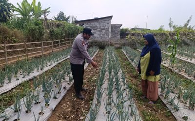 Polri Dampingi Program Pekarangan Pangan Bergizi di Desa Pungging