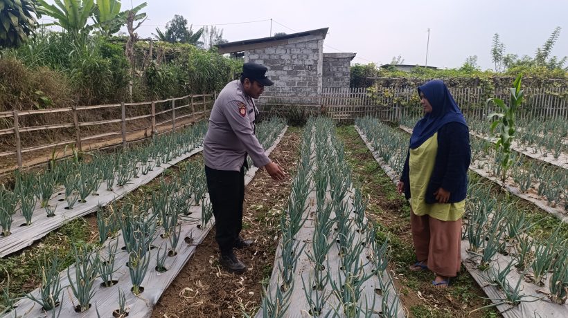 Polri Dampingi Program Pekarangan Pangan Bergizi di Desa Pungging