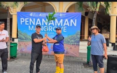 Dukung Kelestarian Pesisir Surabaya, TPS Serahkan 3.000 Bibit Mangrove ke DLH