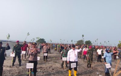 Peringati HUT TNI Ke-81, Kodim 0819/Pasuruan Gelar Aksi Tanam 1.000 Mangrove dan Bagikan Bansos di Nguling